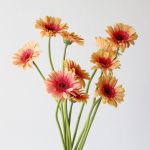 Gerberas Julia 2 tons - en vrac