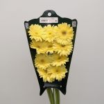 Gerbera Passito (Bulk DIY)