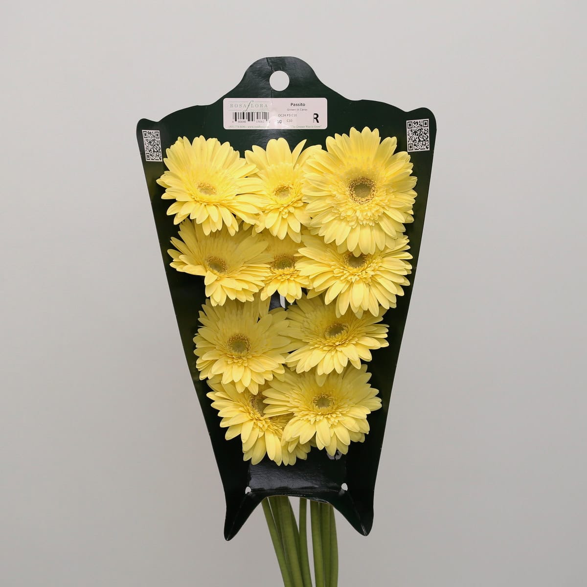 Gerbera Passito (Bulk DIY)