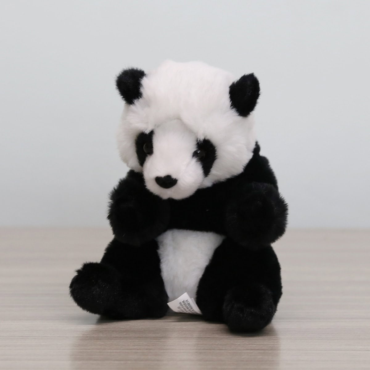 Palm Panda – cuddly, compact, and full of personality.