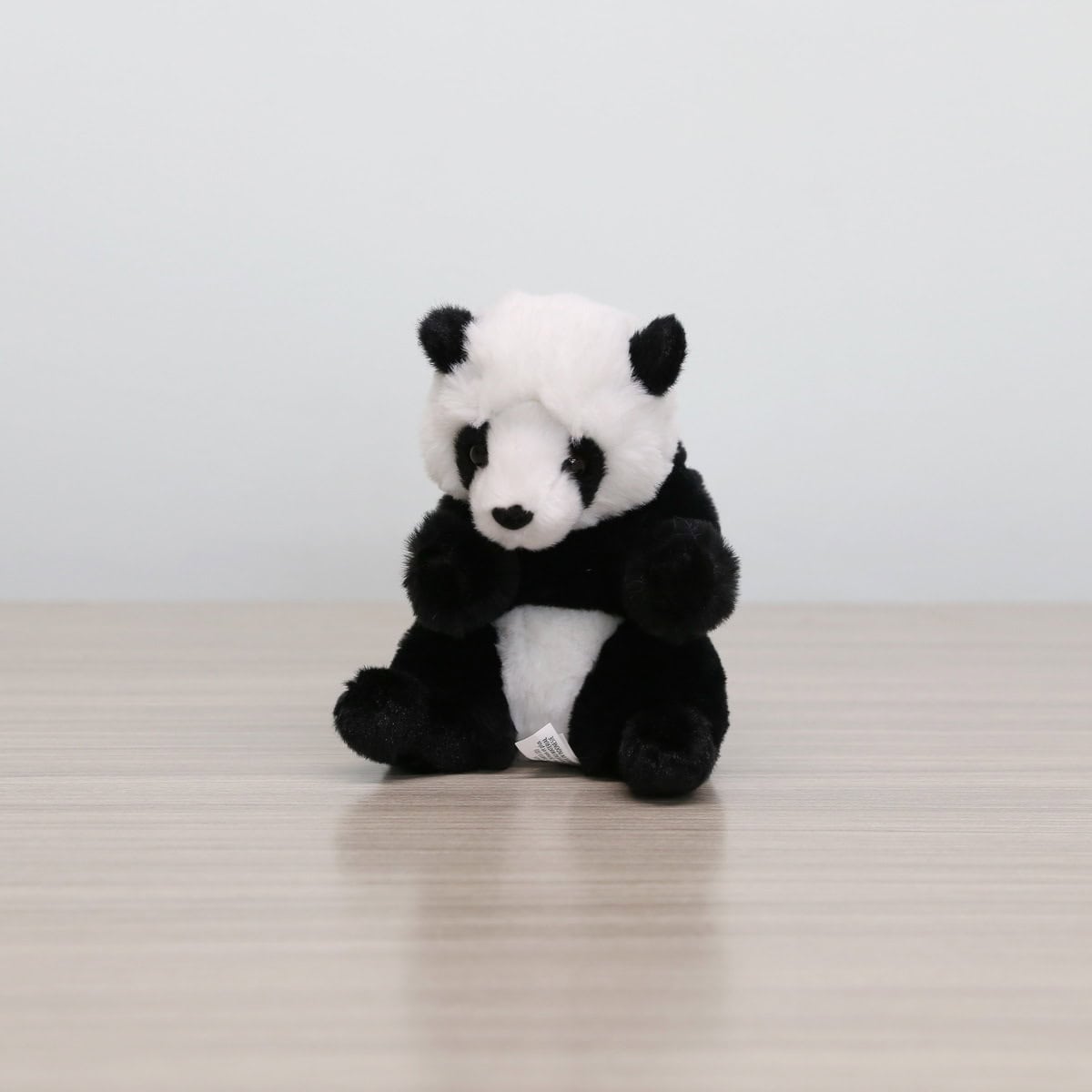 Palm Panda – cuddly, compact, and full of personality.