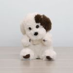 Petit Chiot Crème 