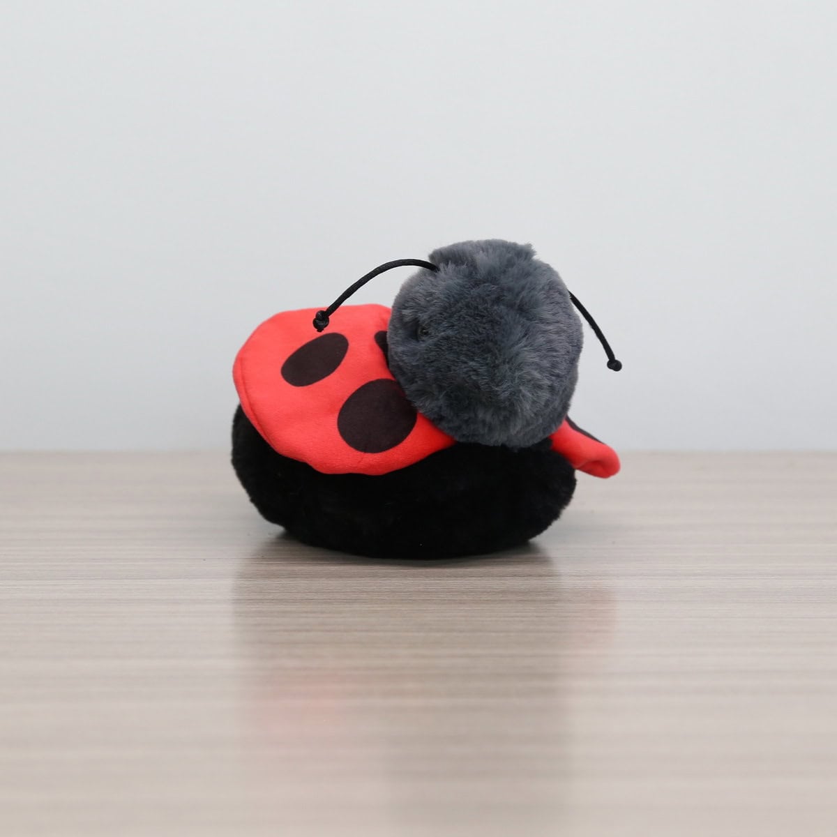 Lucy the Ladybug