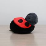 Lucy the Ladybug