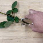 Stem Stripper & Thorn Remover Tool