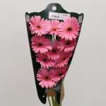 Gerbera Pre-Intenzz (Bulk DIY)