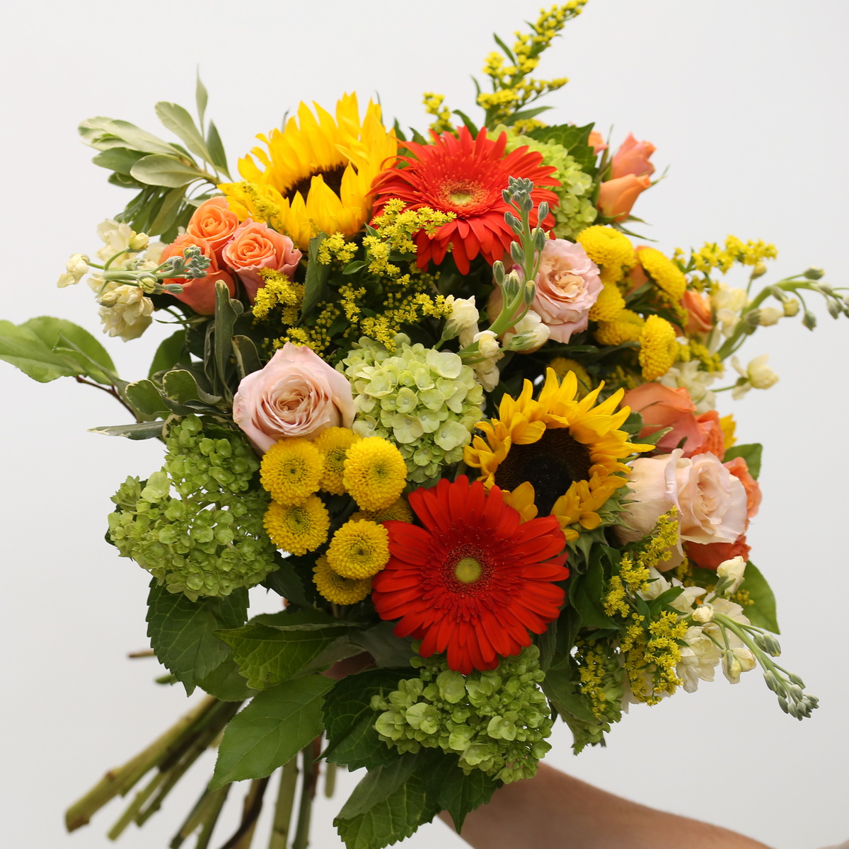 Sunet Arrangement