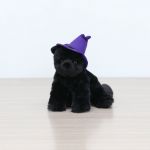 Halloween Cat