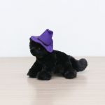 Halloween Cat