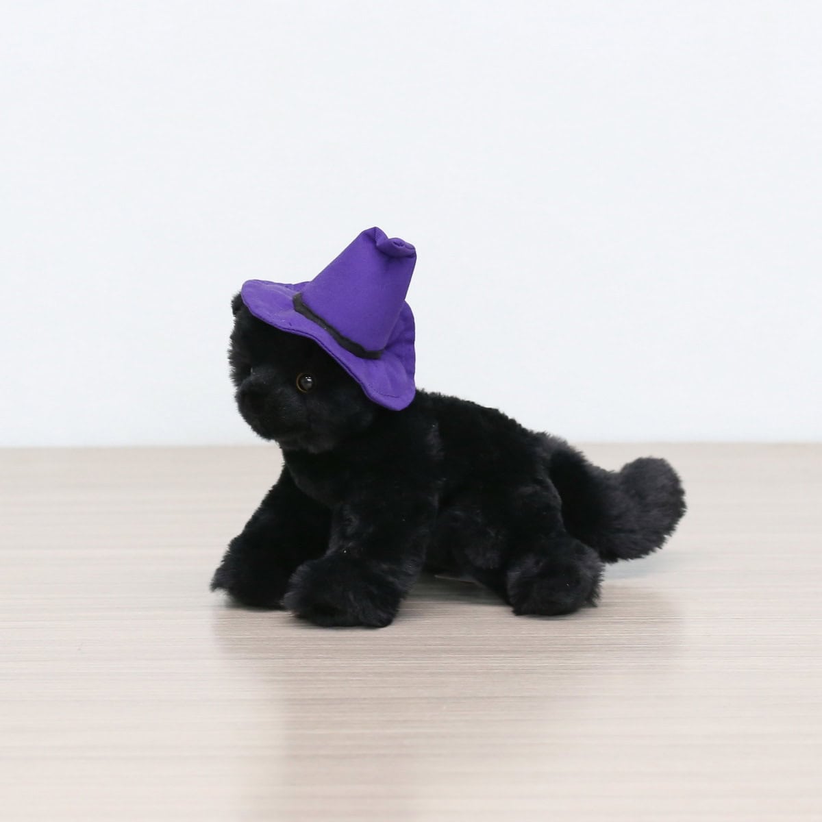 Halloween Cat