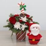 Coffret Cadeau 
