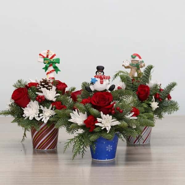 Set of three Mini Sweets Christmas arrangements with red roses, white mums, evergreens, berries, and festive holiday picks in assorted pots.