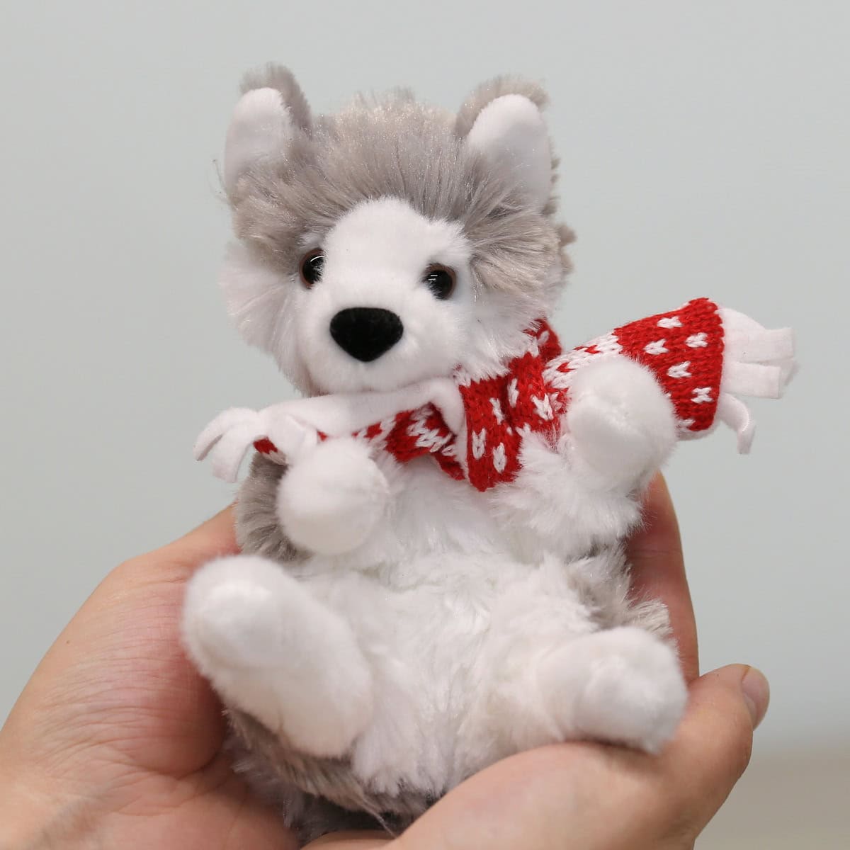 Lil Baby Husky with scarf