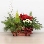 Holiday Garden – Festive Christmas Plant Basket