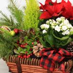 Holiday Garden – Festive Christmas Plant Basket