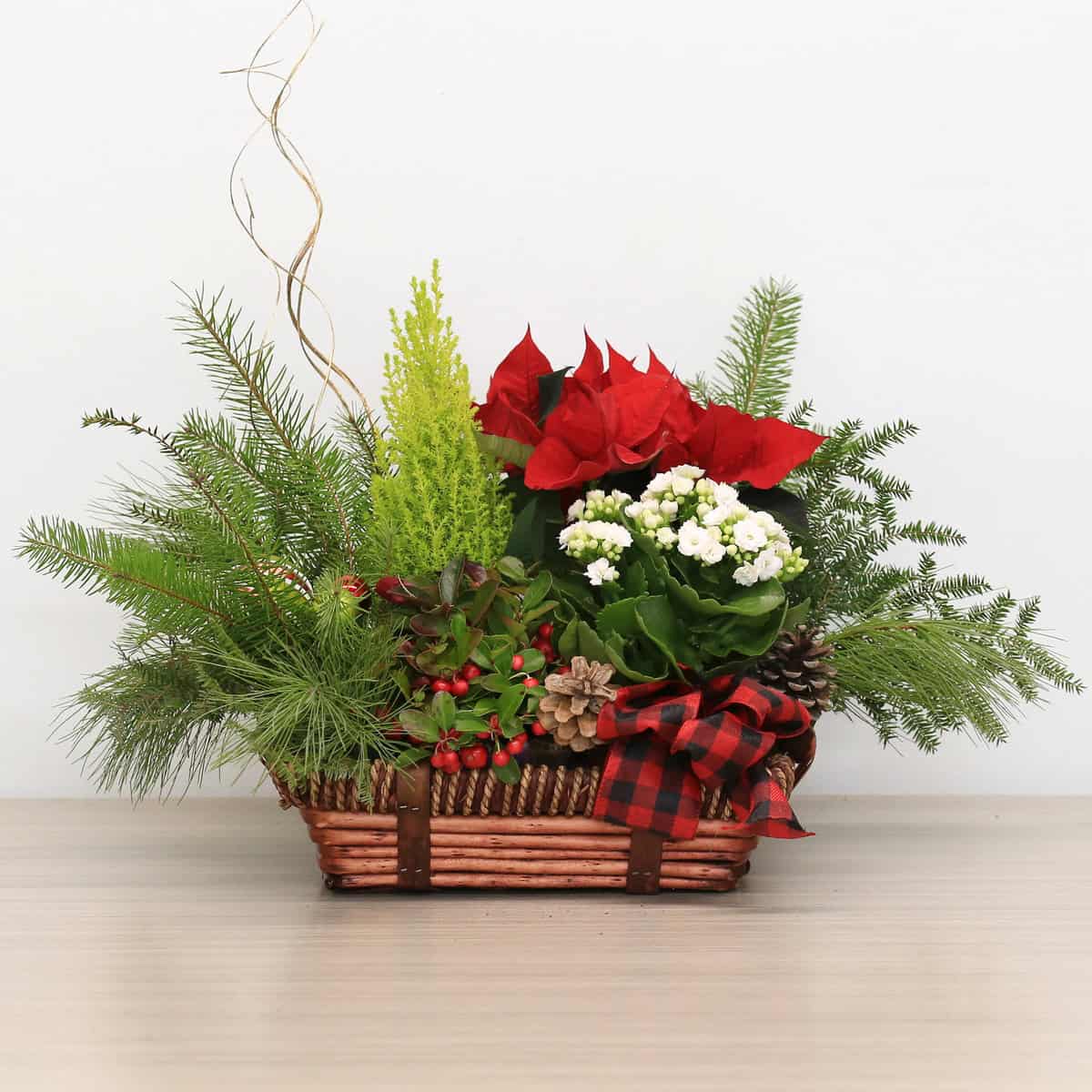 Holiday Garden – Festive Christmas Plant Basket