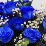 Blue Roses Bouquet