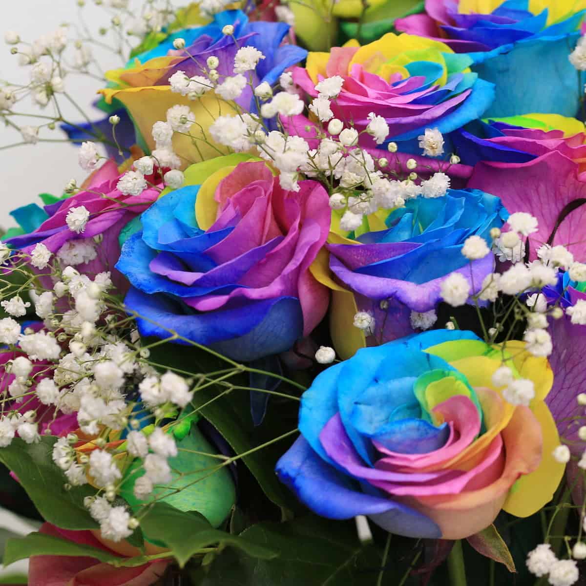 rainbow roses arranged bouquet with greenery and floral accents in vase
