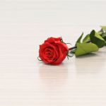 Long Stem Eternal Roses