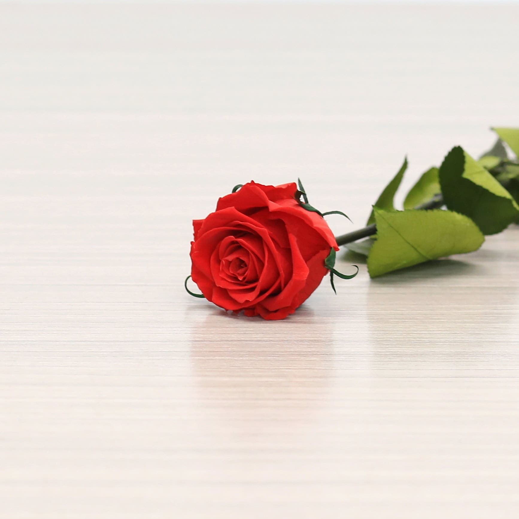 Long Stem Eternal Roses