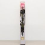 Long Stem Eternal Roses