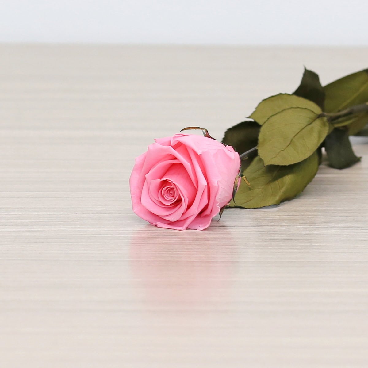 Long Stem Eternal Roses