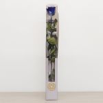 Long Stem Eternal Roses