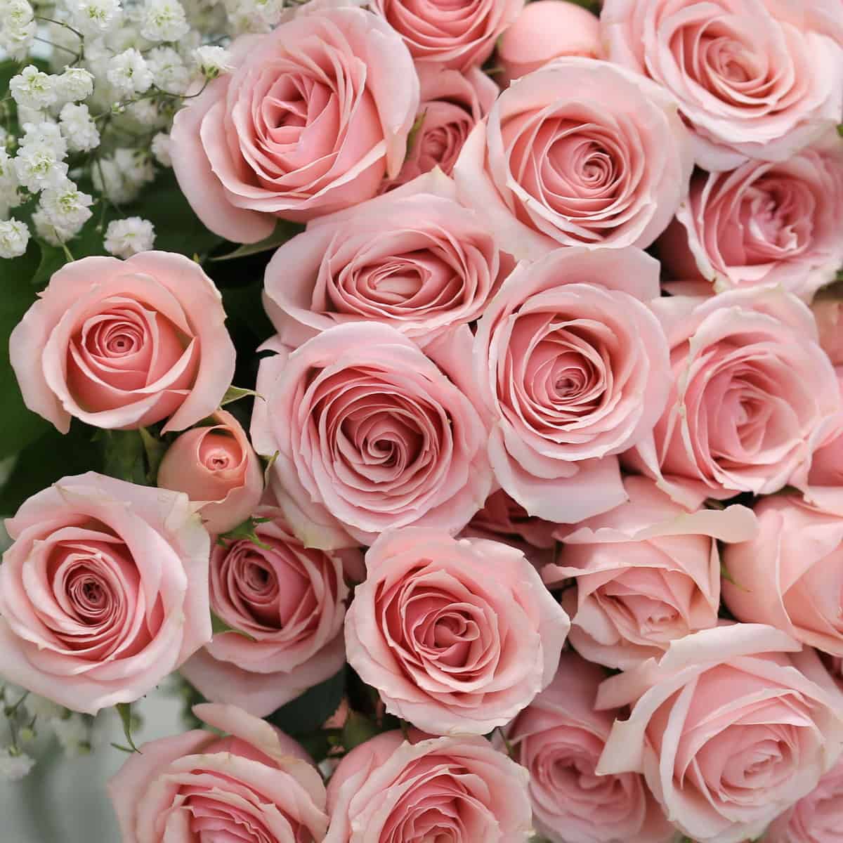 Aurora Spray Rose Arrangement – Pink Roses Bouquet