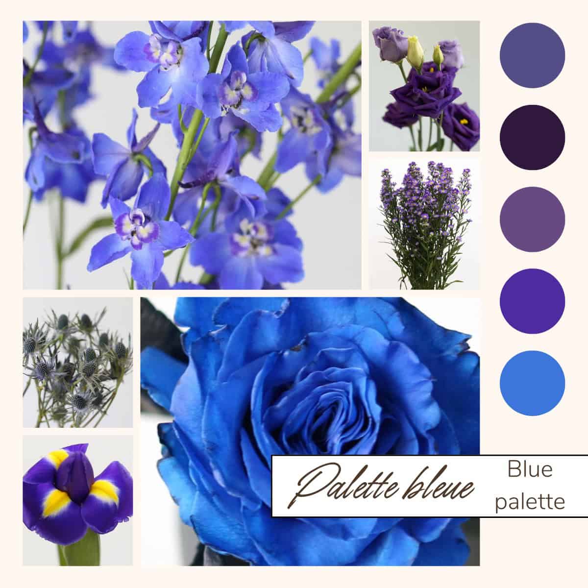 Blue Bulk Flowers