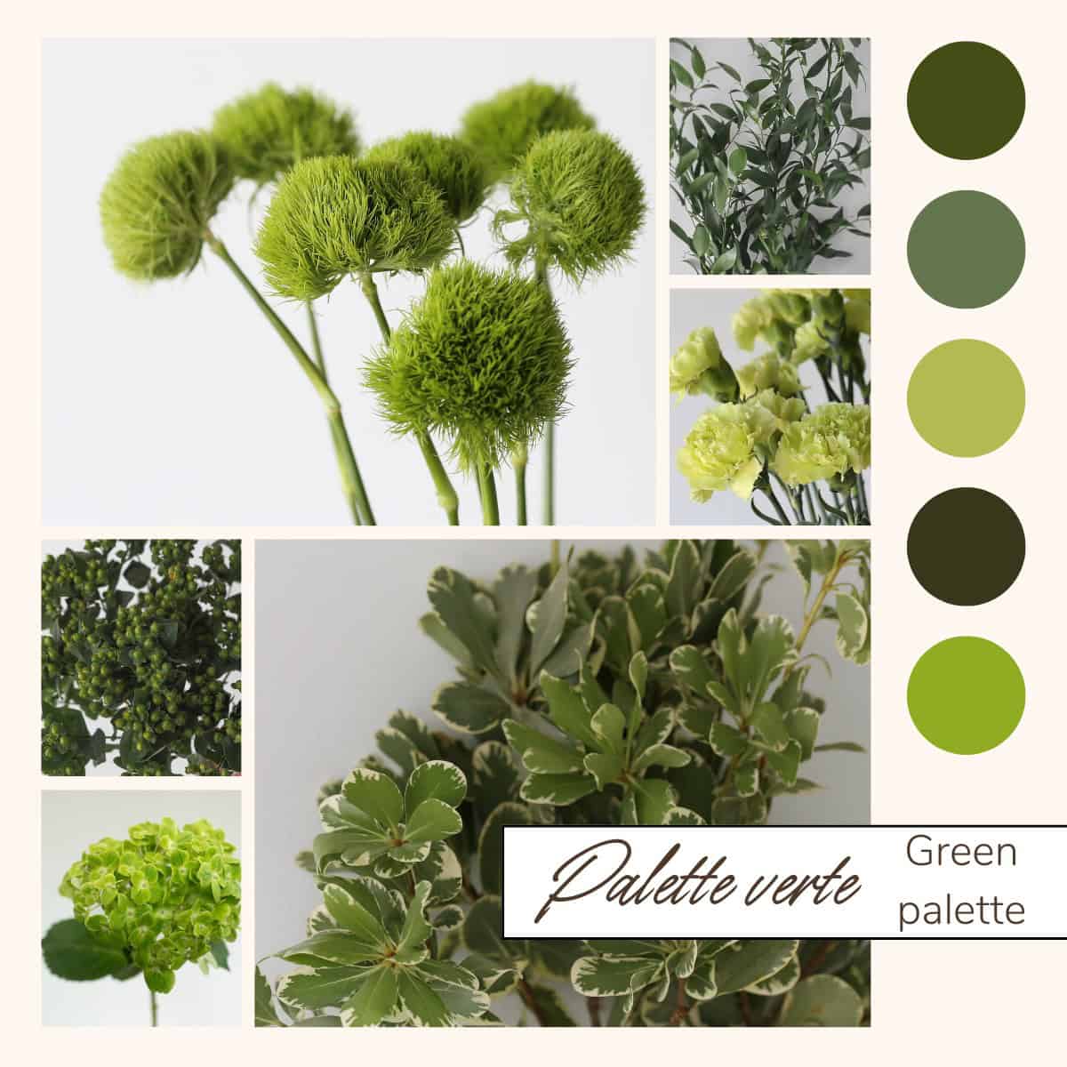 Green Bulk Flowers