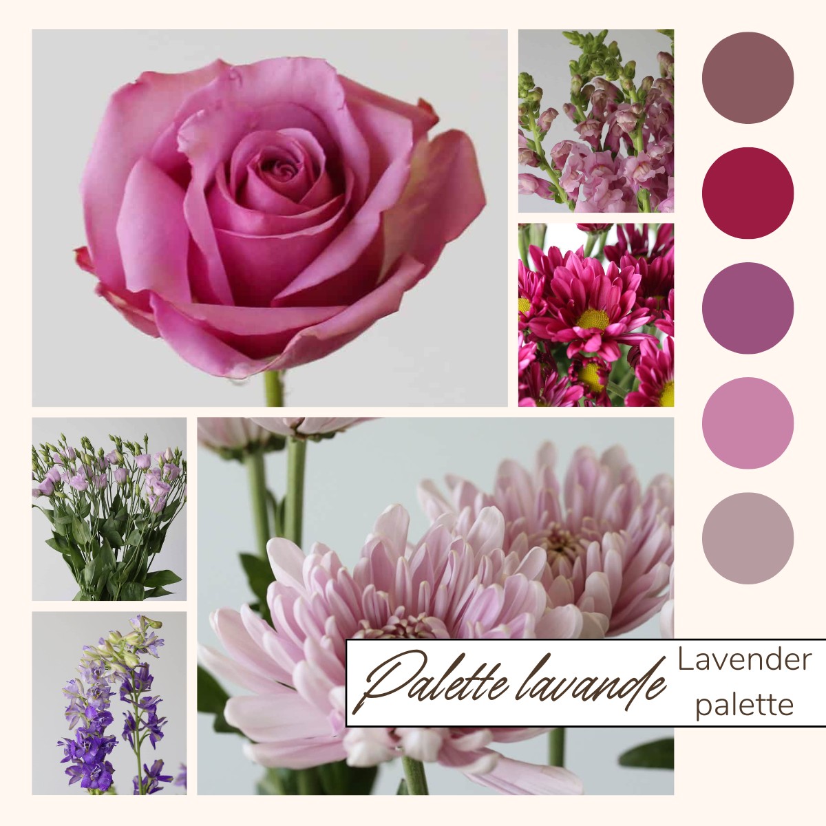 Lavender Bulk Flowers