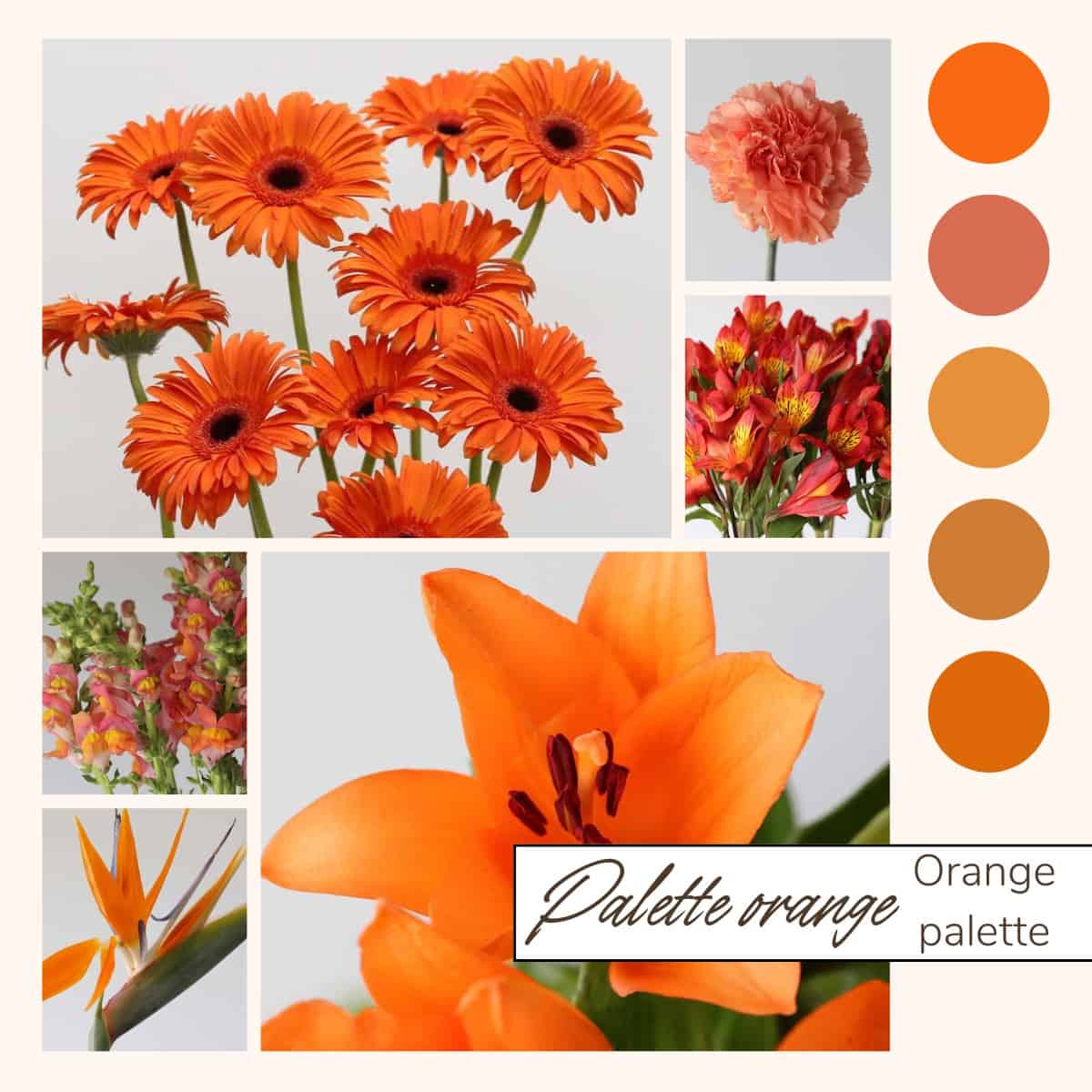 Orange Bulk Flowers