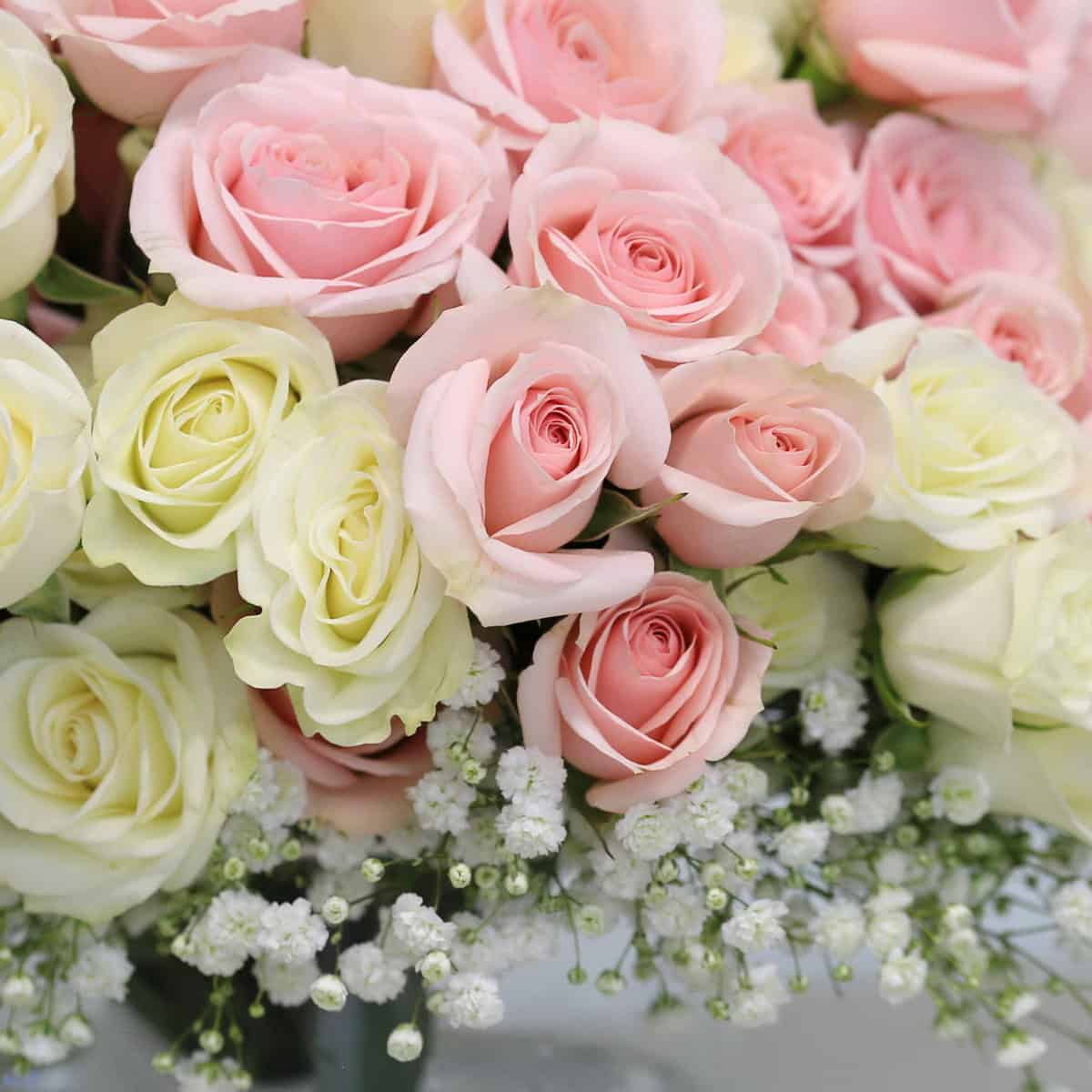 Soft Romance arrangement with pink and white spray roses and baby's breath in glass vase