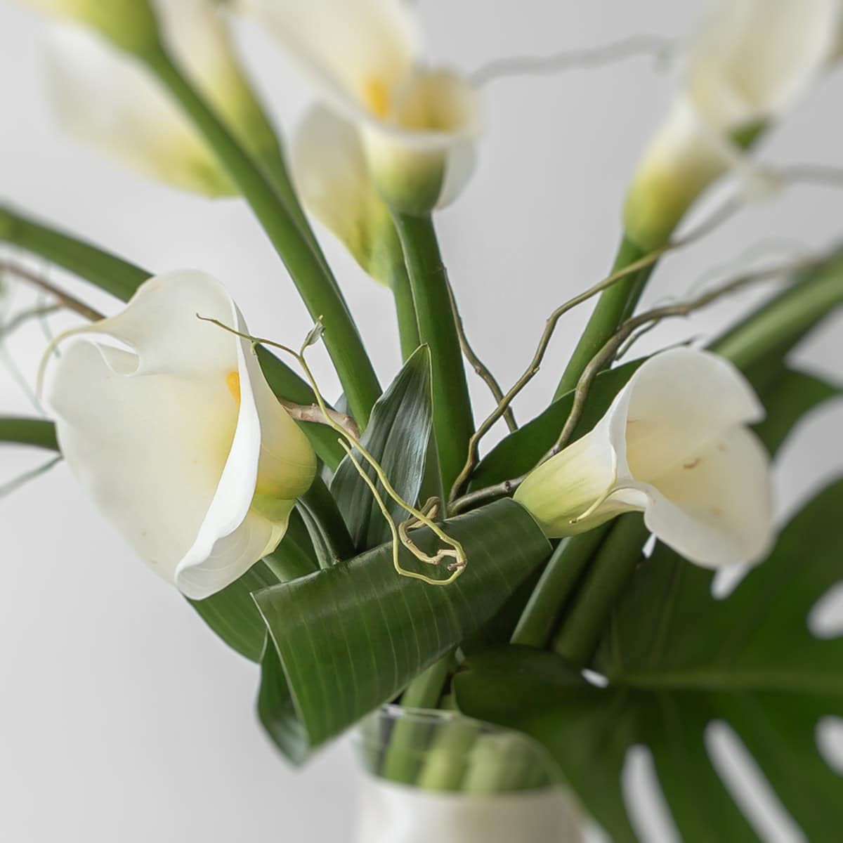 Classic Callas – Arrangement d’arums blancs en vase
