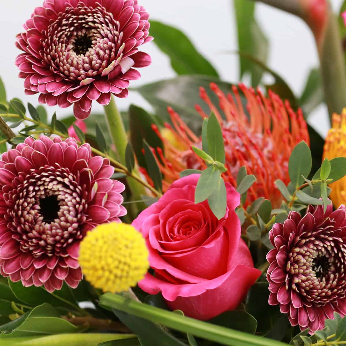 Close-up of gerpoms and tropical flowers in Mango Fusion arrangement