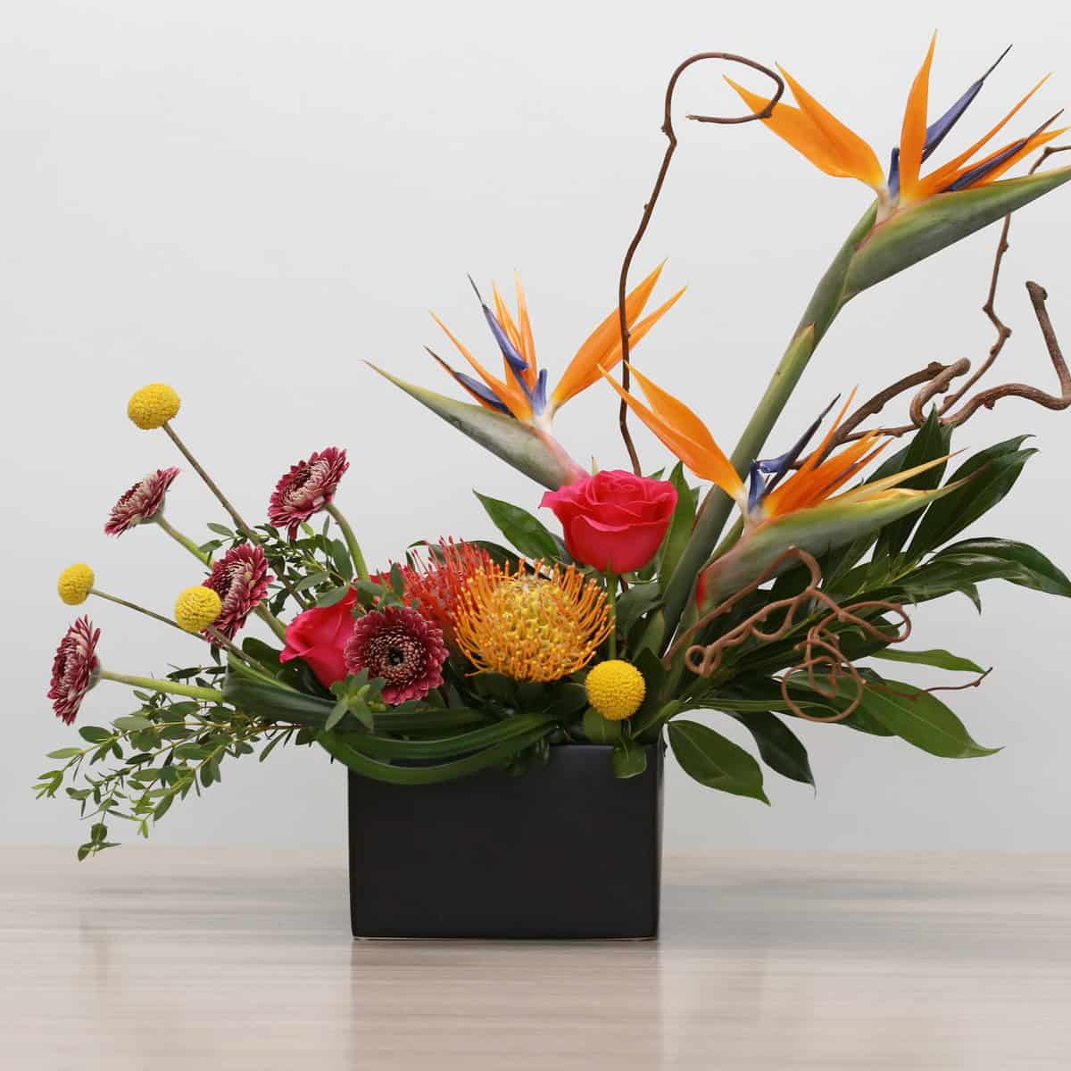 Mango Fusion tropical flower arrangement with birds of paradise, roses, pincushion protea and gerpoms in modern black container