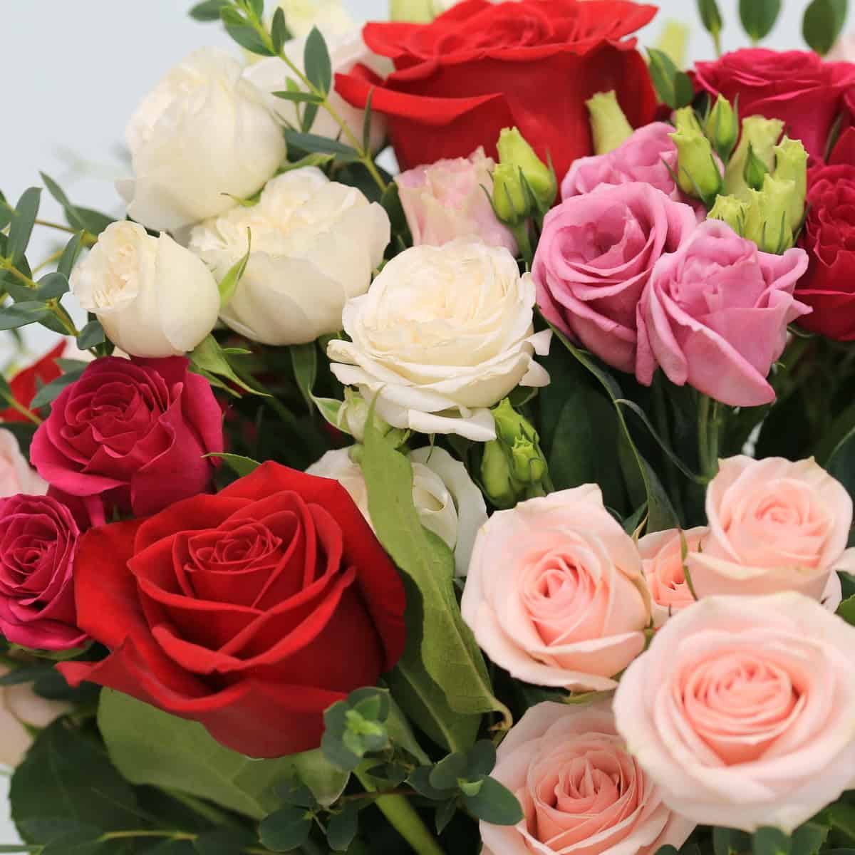 Sophia Flower Arrangement | Mother’s Day Flowers Montreal