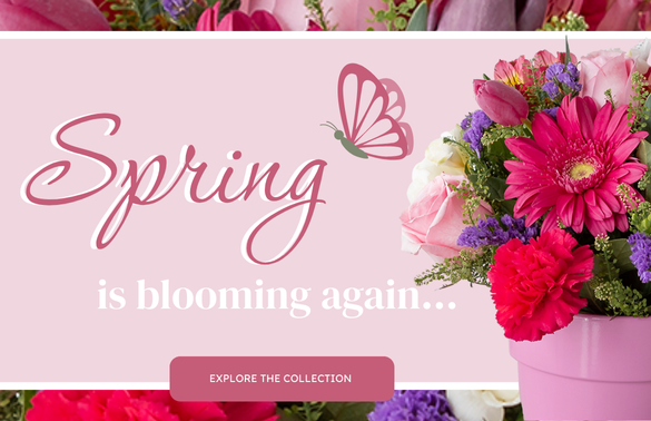 Spring 2025 Mobile Banner ENG